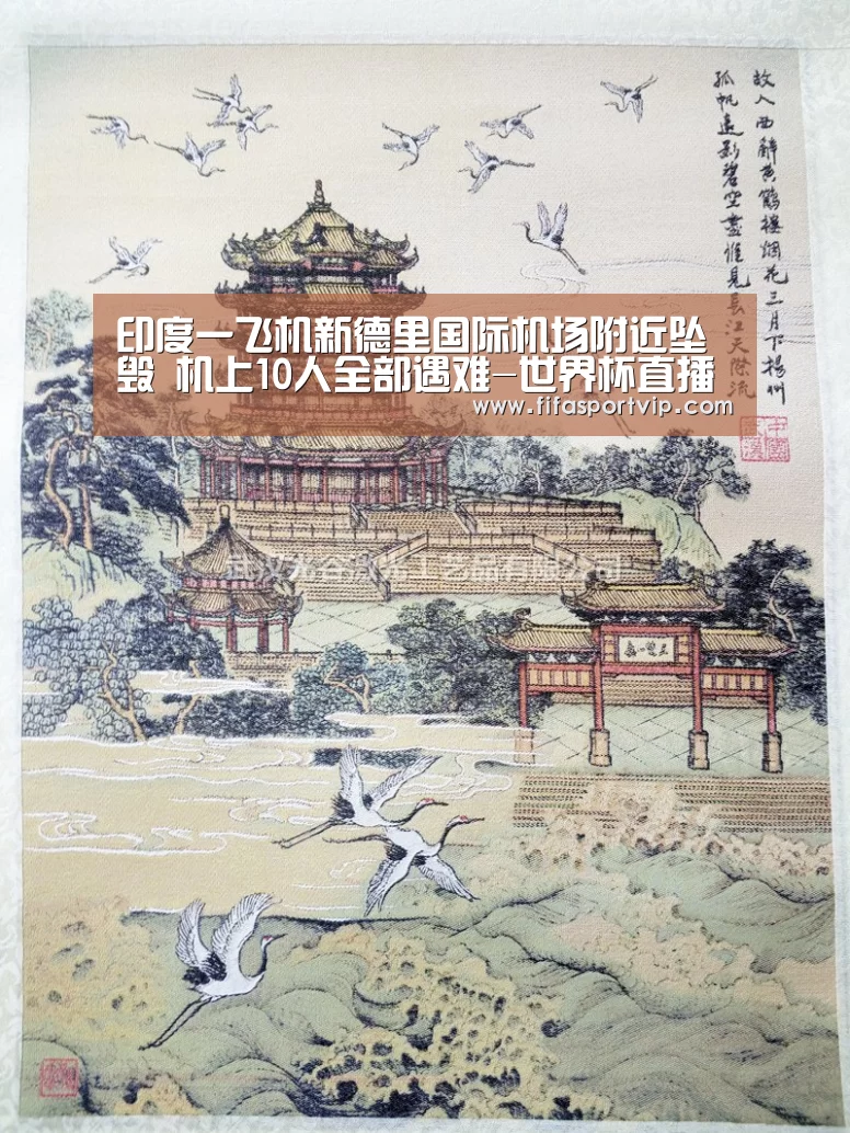 印度一飞机新德里国际机场附近坠毁 机上10人全部遇难-世界杯直播(图1) 比赛集锦
