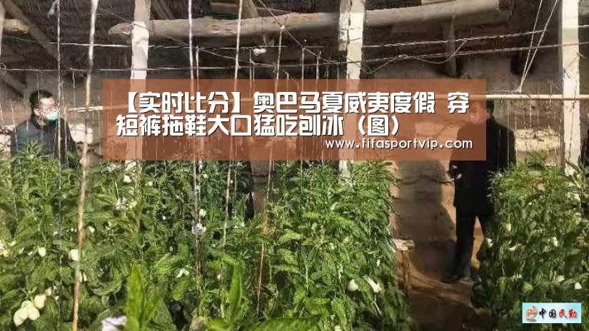 比赛集锦