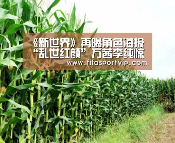 《新世界》再曝角色海报 “乱世红颜”万茜李纯惊艳|世界杯直播(图3) 世界杯